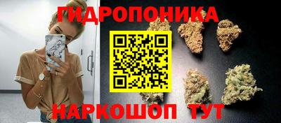 СК Будённовск